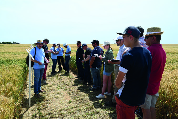 Jeudi 16 juin, à Ouzouer-le-Marché. Visite des essais blé tendre, présentés par Cyrille Gaujard, ingénieur régional Arvalis. 