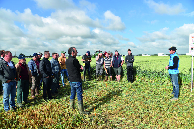 Jouy-sur-Morin, jeudi 9 juin. Plateforme technique, village des fournisseurs et gouvernance de la coopérative Cérèsia étaient au programme de la journée Champ d'avenir.