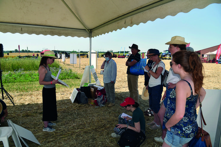 Atelier apiculture, une diversification pour les ­systèmes bio.