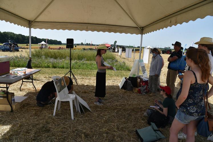 Atelier apiculture, une diversification pour les systèmes bio.