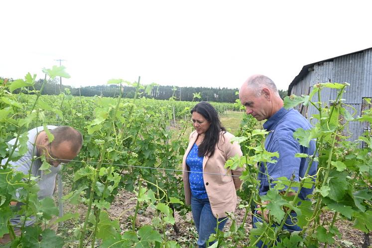 Renaud Dronne, viticulteur à Cheverny, présente les dégâts dont il a été victime, à Temanuata Girard, vice-présidente du conseil régional, et à François Cazin, président de la FAV 41. 