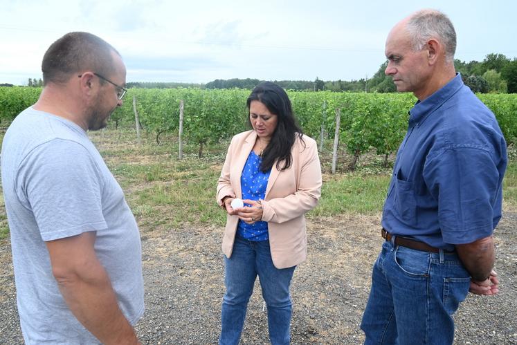 Un grêlon conservé par Renaud Dronne, viticulteur à Cheverny, montre ­l'exceptionnel phénomène qui s'est abattu sur son exploitation. 