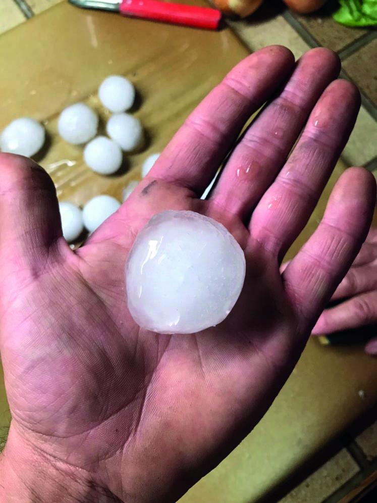 Photo prise par un membre de Jeunes agriculteurs du Loiret après l'orage de grêle du 19 juin.