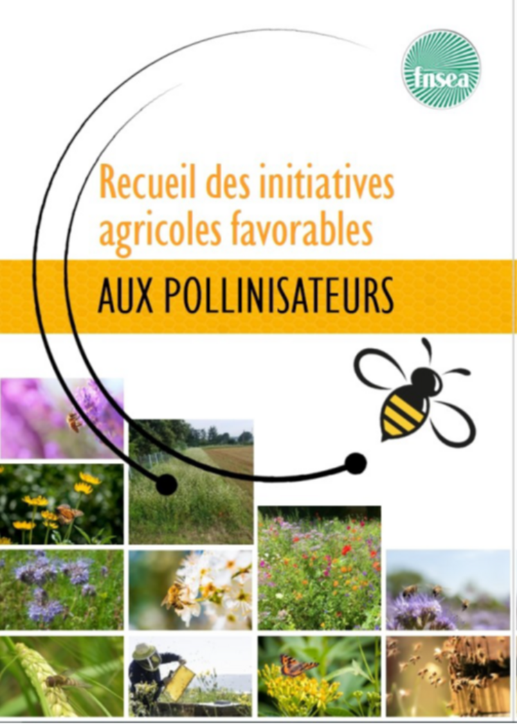 La FNSEA publie son recueil des initiatives favorables aux pollinisateurs. 