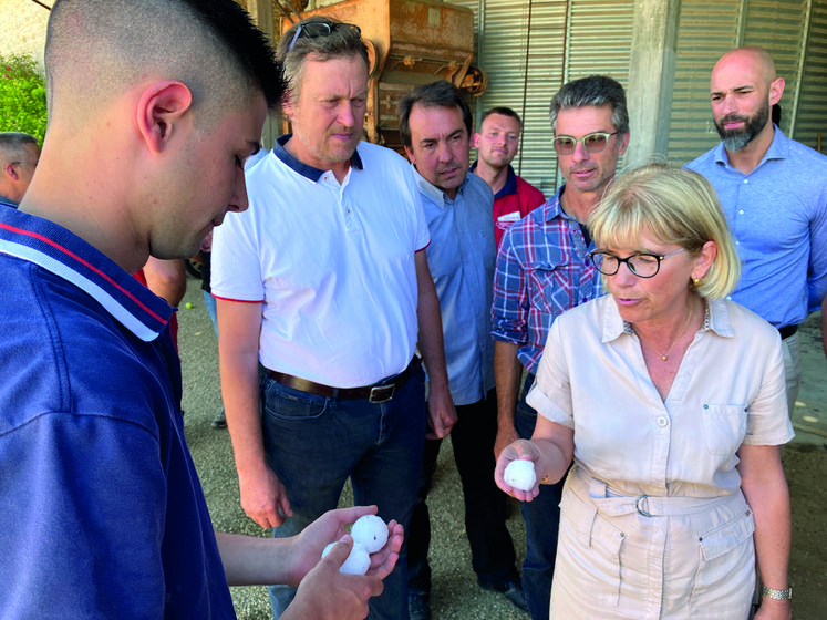 Des grêlons de la taille d'une balle de golf ont détruit les cultures.