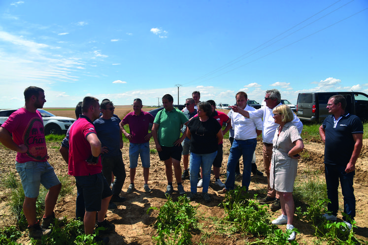 Garentreville, jeudi 23 juin. Valérie Lacroute découvre une parcelle de pommes de terre totalement ravagée par la grêle. De nombreux agriculteurs du secteur, plus ou moins touchés, sont présents.