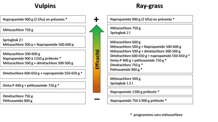 Synthèse des efficacités sur vulpin et ray-grass des applications au semis d’après les essais de Terres Inovia.