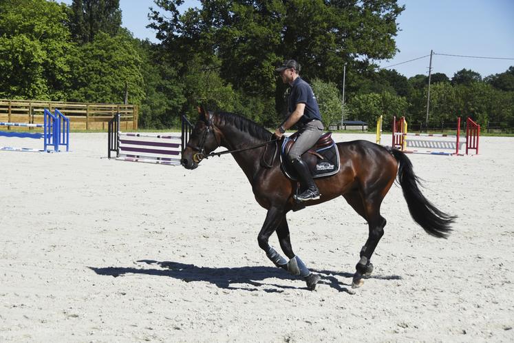 Si son parcours l'a emmené en compétitions internationales de saut ­d'obstacles, Adrien Maby travaille avec tous les types de chevaux.