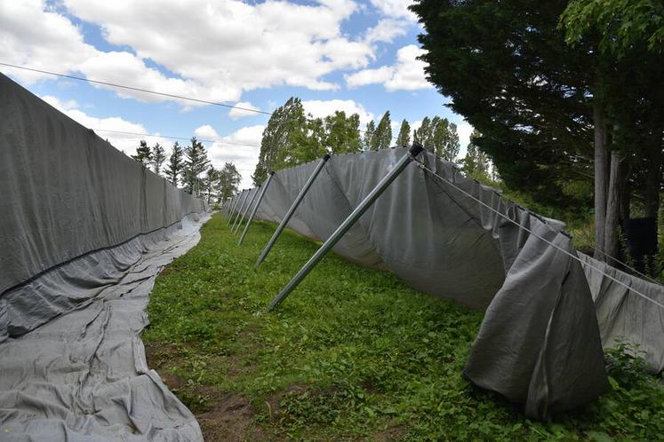 Une tempête a fait des ravages en décembre 2021.