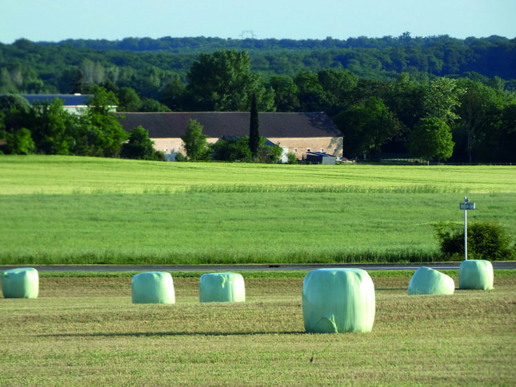 Conclure un contrat de vente d’herbe sur pied n’est pas sans risque. En cas de litige, c’est le tribunal paritaire des baux ruraux qui tranchera.