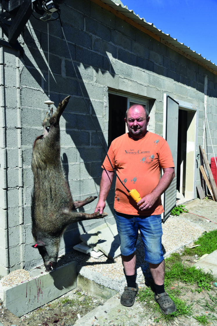 Benoit les animaux en bois