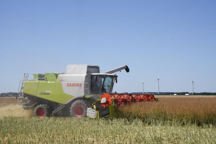 Vendredi 8 juillet, à Garancières-en-Beauce. Dans le cadre de l'entraide, Pascal Laya bat la parcelle de colza d'un ami.