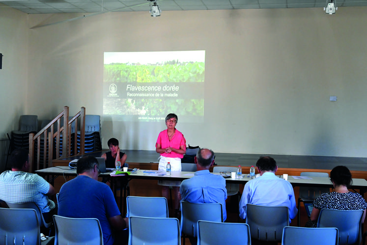 Sophie Pierron, directrice de la Fredon Centre-Val de Loire, a présenté, après l'assemblée générale de la FAV 41, la maladie épidémique de la flavescence dorée. 