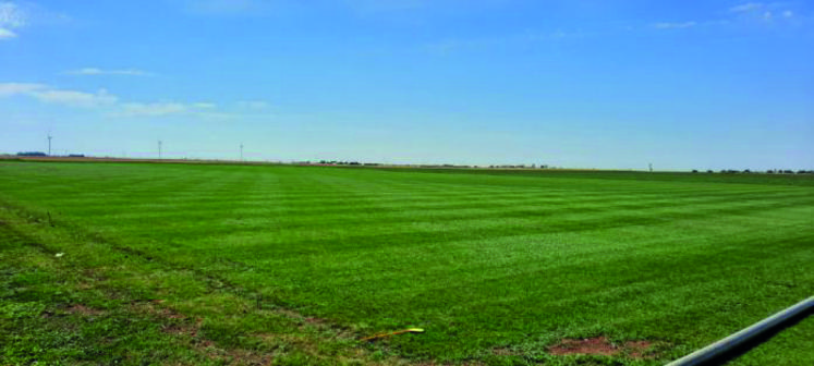 Préparation du terrain de rugby à Outarville (Loiret) pour les Terres de Jim en Beauce qui se tiendront les 9, 10 et 11 septembre.