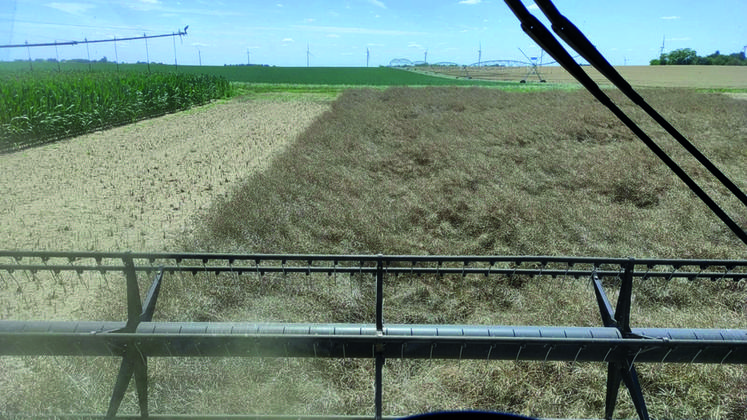 À bord de la moissonneuse dans le Pithiverais avec le membre de Jeunes agriculteurs 45 Clément Mercier.