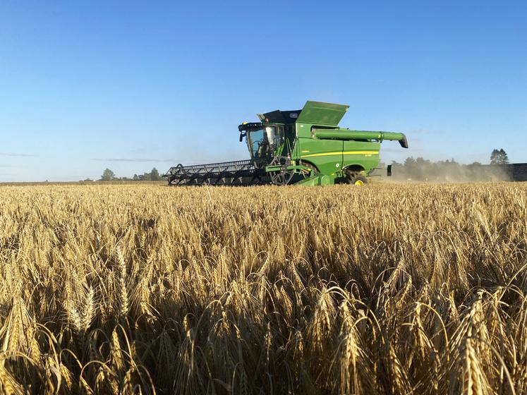 Début juillet à Saint-Martin-en-Bière (Seine-et-Marne).