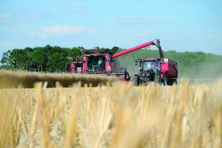 Le 21 juillet, à Saint-Germain-le-Gaillard. Pas de pluie, pas de pression. Une quinzaine de jours de travail auront permis de venir à bout de la moisson en Eure-et-Loir cette année.