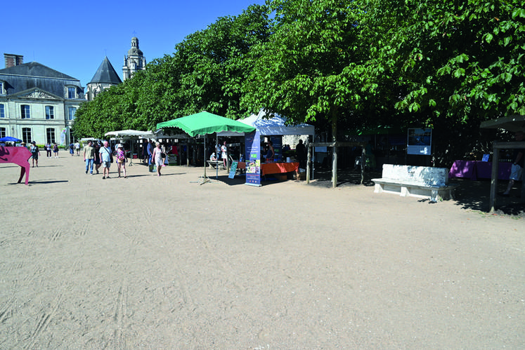 Dimanche 24 juillet, à Blois. Producteurs et visiteurs profitent de l'ombre des arbres des Jardins de l'évêché à l'occasion du marché de Bienvenue à la ferme.