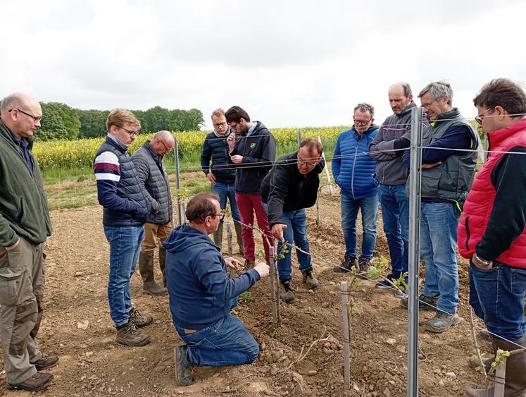 L'Association des viticulteurs et vinificateurs d'Île-de-France a réuni ses adhérents en « tours de vignes » à trois reprises cette année et compte poursuivre cette dynamique.