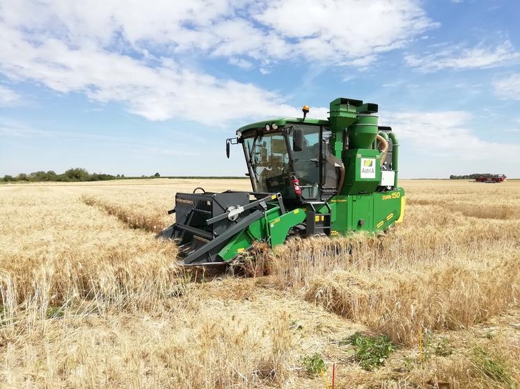 Récolte de l’essai variétés blé dur : la culture emblématique du secteur du GDA* Loire-Beauce.