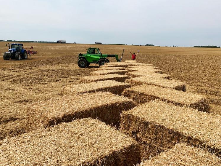 Dès le vendredi 22 juillet, les agriculteurs du secteur de Nangis et Provins ont Suvré sur le terrain pour mettre en place la fresque agricole. Dans le cadre d’un partenariat entre la FNSEA et Aso (Amaury sport organisation), les agriculteurs des départements traversés par la course réalisent une fresque à l’image de leur profession et de leurs productions.