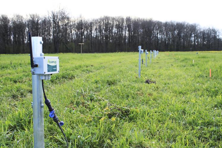 Des sondes capacitives et tensiométriques ont été installées au cSur des microparcelles d’essais sur l’irrigation des prairies.