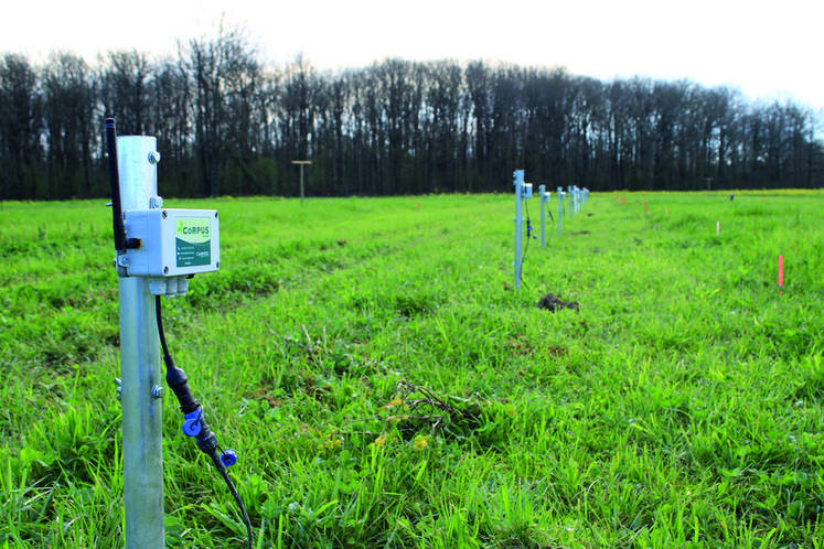 Des sondes capacitives et tensiométriques ont été installées au cSur des microparcelles d’essais sur l’irrigation des prairies.