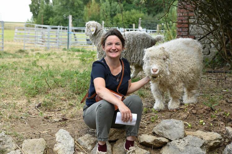 Avec les chaleurs estivales, les animaux de Sandrine attendent impatiemment d'être tondus.
