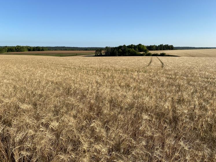 Deux dérogations inhérentes aux BCAE ont été obtenues pour 2023. 