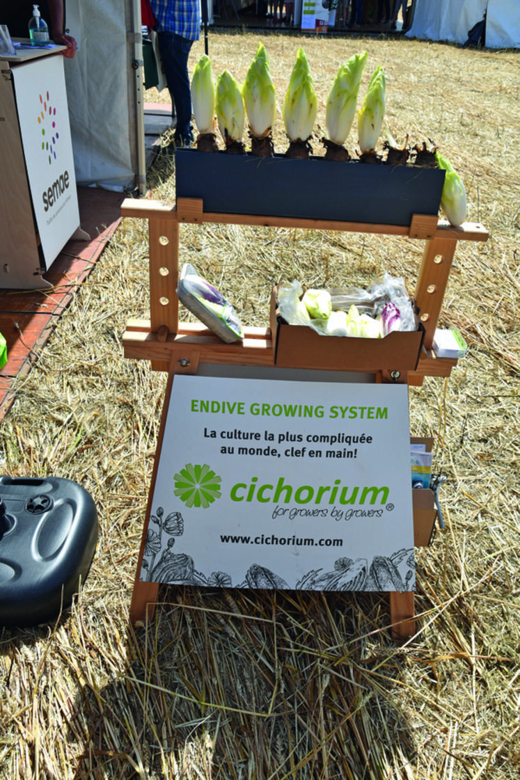 En juin dernier, à Saint-Germain-Laxis (Seine-et-Marne). À l'occasion du salon Tech&bio, la société Endibio a présenté le matériel qu'elle commercialise pour produire des endives bio sans terre.