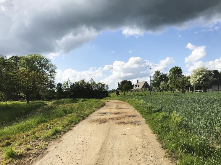 L'élagage des chemins ruraux doit être réalisé pour permettre aux véhicules et promeneurs de circuler. 