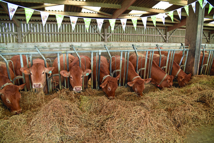 L'élevage sera représenté avec notamment la présence d'Interbev et de la fédération des bouchers.