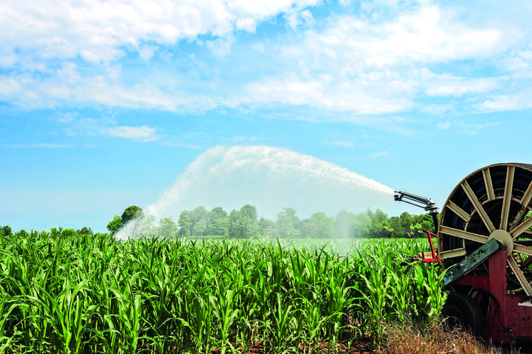 À partir du taux d’humidité des grains, du type de sol et de l’historique de ­pluviométrie et d’irrigation sur la parcelle, Irristop détermine les besoins ­restants en eau.