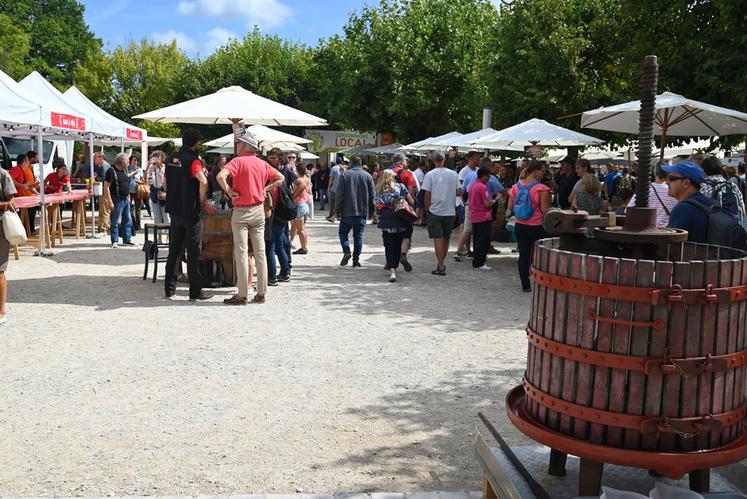 Les visiteurs étaient au rendez-vous pour la onzième édition de la Fête des vendanges à Cheverny.