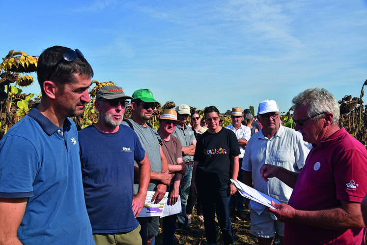 Touquin, jeudi 25 août. Après un point en bout de champ, les participants ont suivi une visite détaillée de la parcelle d'essais tournesol.