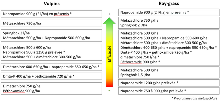 ​​​​​​​Synthèse des efficacités sur vulpins et ray-grass des applications au semis d’après les essais de Terres Inovia.