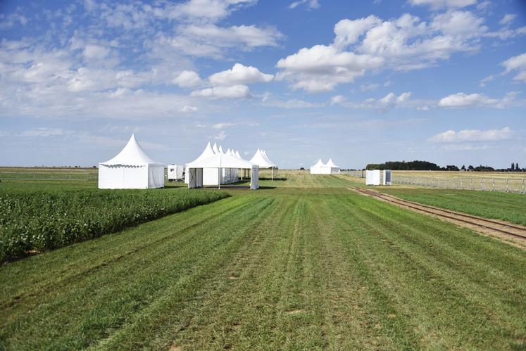 Eau, biodiversité, méthanisation, pollinisation ou encore cultures en région Centre-Val de Loire seront les thématiques mises à l'honneur dans le pôle végétal et le pôle agroécologie. 