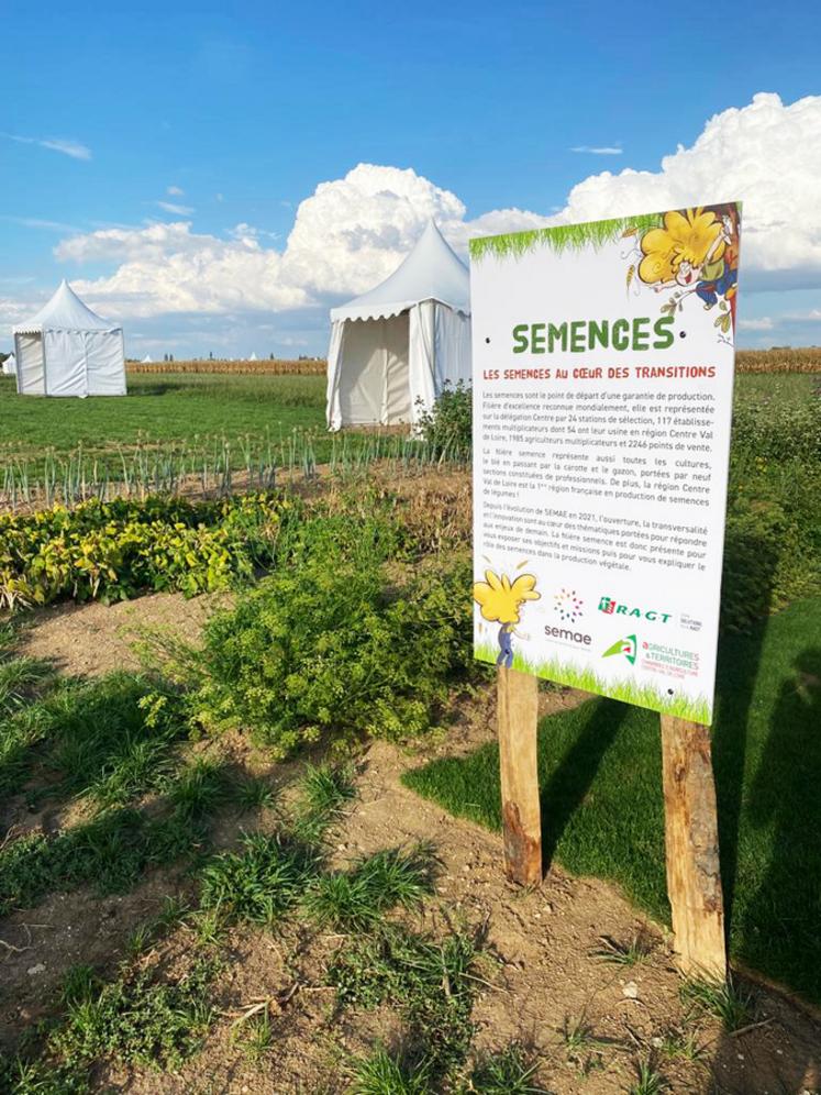 Les parcelles cultivées disposent de panneaux présentant l'histoire de la plante, son modèle de croissance et les modalités de récolte. 