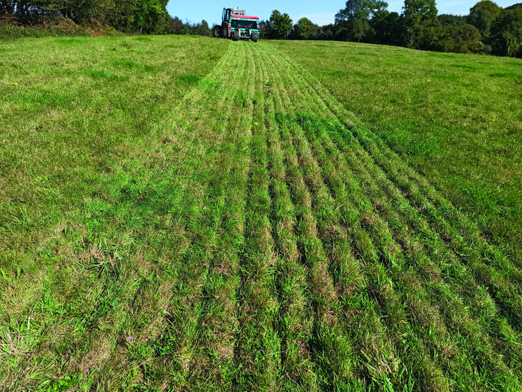 Les mélanges ont été semés en octobre avec un outil de semis direct.