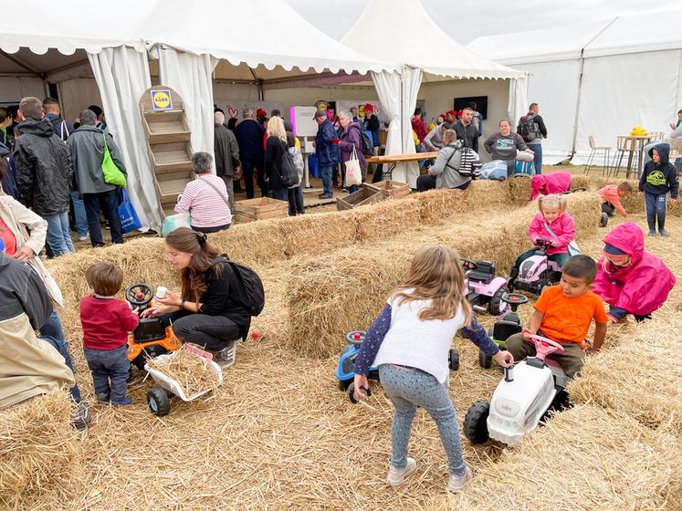 Le stand Lidl proposait de nombreuses animations pour tout le monde et n'a pas désempli.