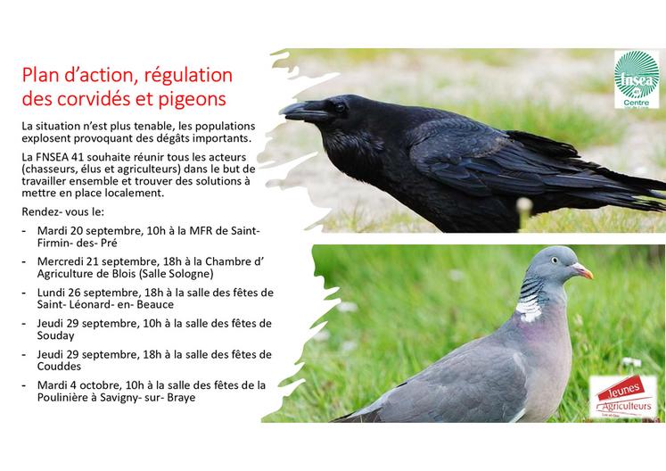 Les dégâts de gibier causent de nombreuses pertes sur diverses exploitations du territoire de Loir-et-Cher.