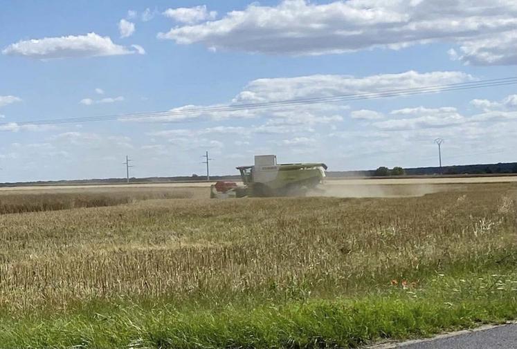 La moisson 2022 a été précoce et s'est avérée très hétérogène en Loir-et-Cher selon Axéréal.
