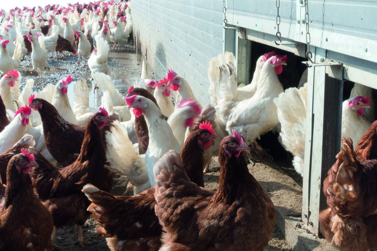 Le Point accueil diversification de la Chambre accompagne les agriculteurs dans leurs projets.