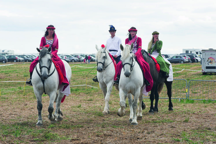 Le cheval percheron a été à l'honneur avec notamment ce carrousel du Syndicat du cheval percheron d'Eure-et-Loir.