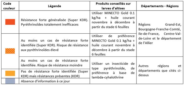 Conseils insecticides tenant compte de l’état des résistances et de l’autorisation dérogatoire concernant le Minecto Gold utilisable du 15 octobre prochain au 12 février 2023.