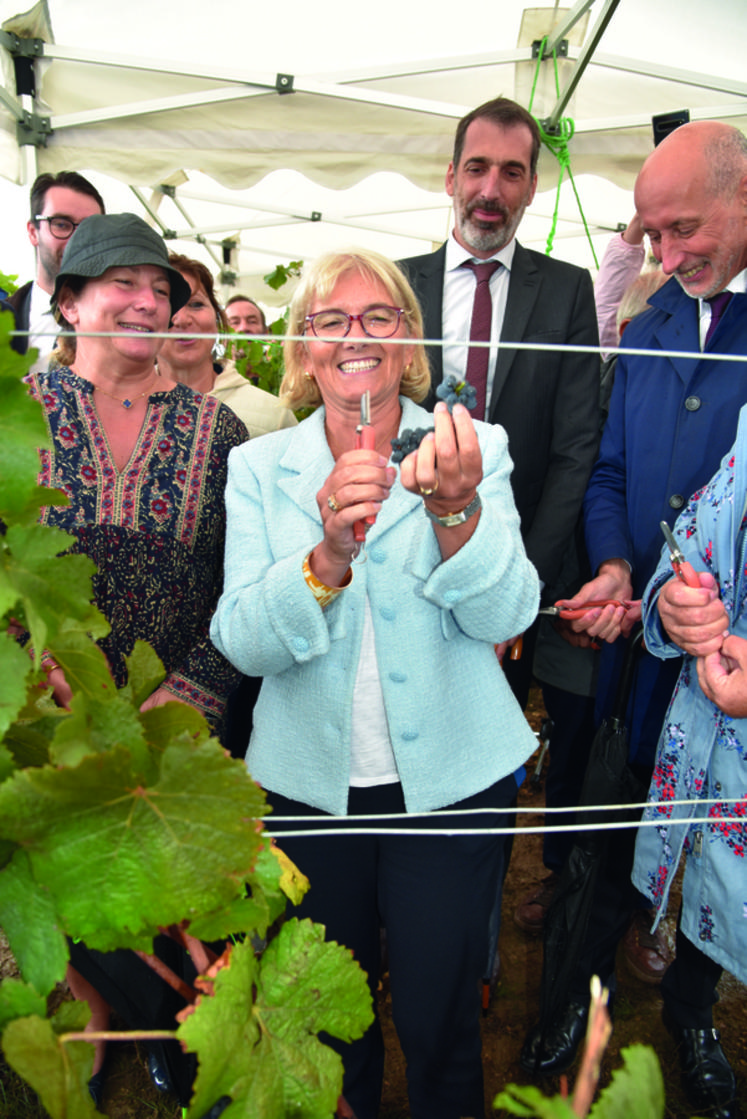 La vice-présidente de la Région Île-de-France, Valérie Lacroute, a fait le premier geste inaugural des vendanges.