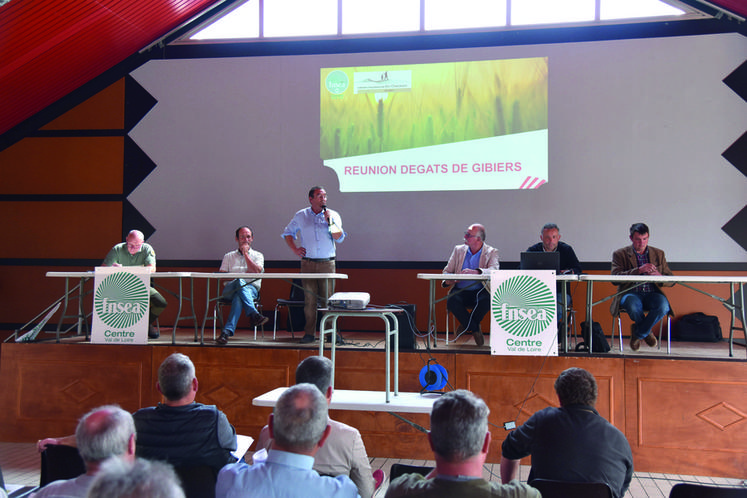 Réunis à Saint-Benoît-sur-Loire le 23 septembre, la FNSEA 45 et la FDC 45 ont pu échanger avec les agriculteurs du département sur la problématique des dégâts de sangliers.