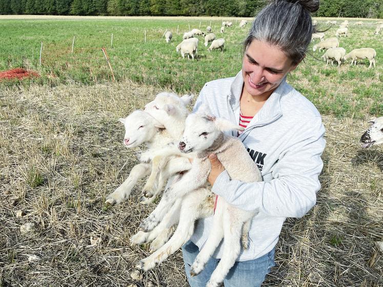 Douce surprise ce matin-là pour Marie-Laure Cuisset qui découvre une ­naissance de triplés au sein de son cheptel.