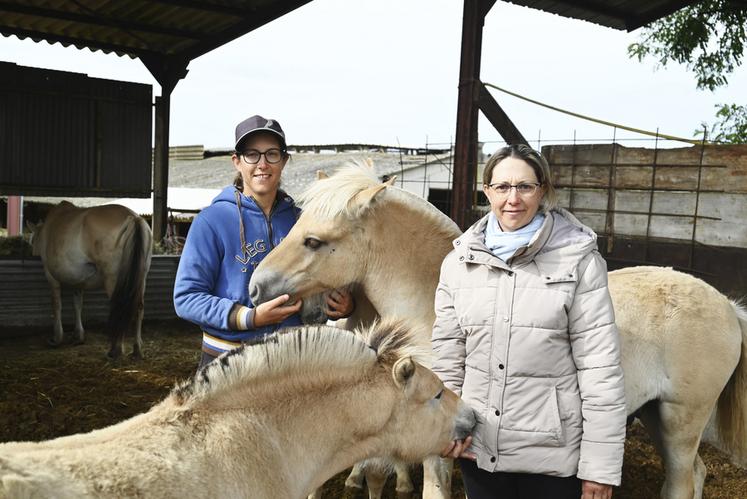 Les deux sSurs, Amandine Peterson et Julie Delapierre, gèrent le Haras d'Auvine hérité de leur grand-père. 