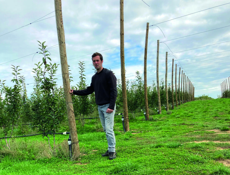 Le goutte-à-goutte mis en place permet à Thomas Lenoble d’irriguer entre 12 et 15 hectares de verger. 